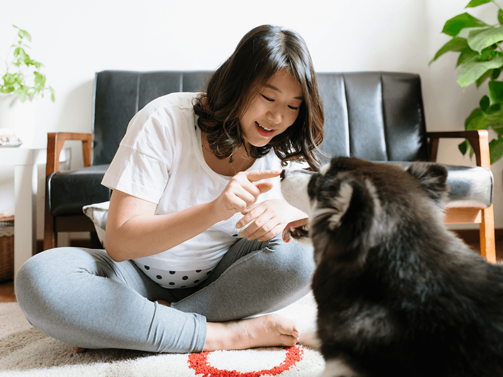 How to Prepare Your Dog for Your New Baby