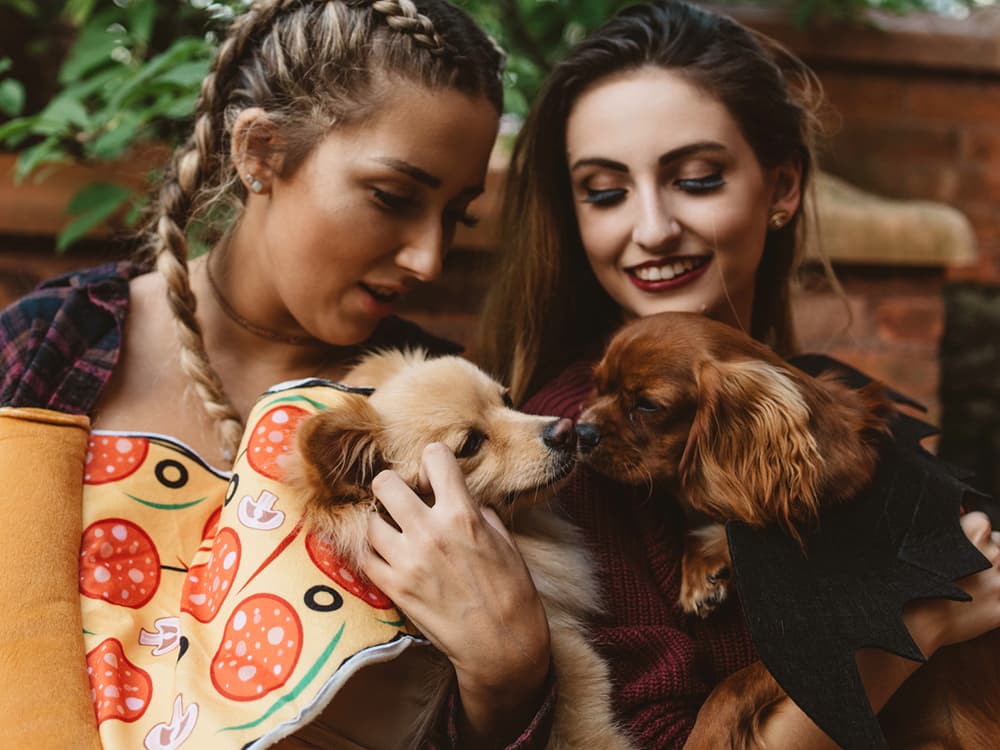 Two women each holding a dog, with one wearing a pizza costume and the other wearing a bat costume