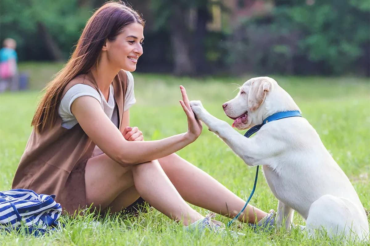 puppy giving paw to woman in the park