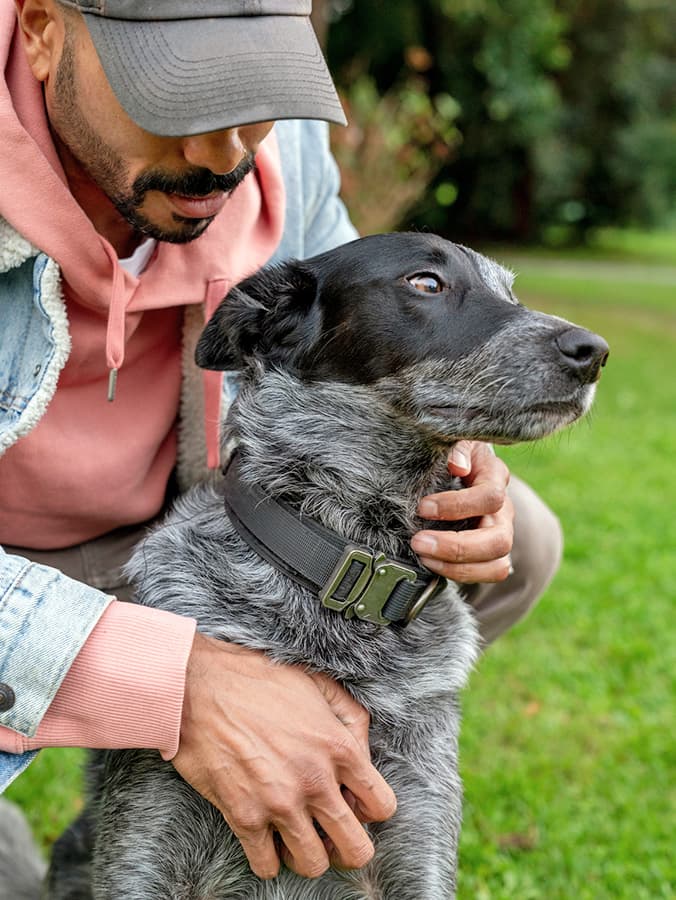 Guide to Swollen Lymph Nodes in Dogs