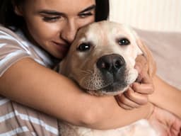 Most Dogs Don’t Really Like Being Hugged, New Study Finds