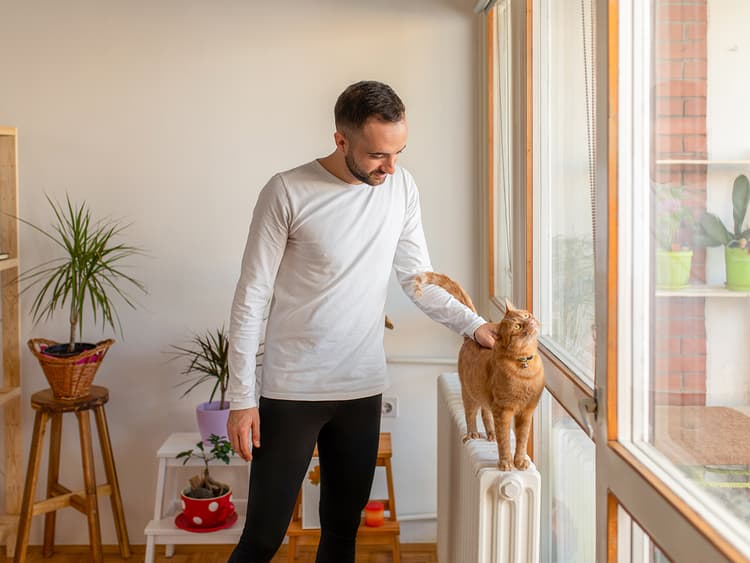 Why You Need a Cat Sitter in Your Inner Circle