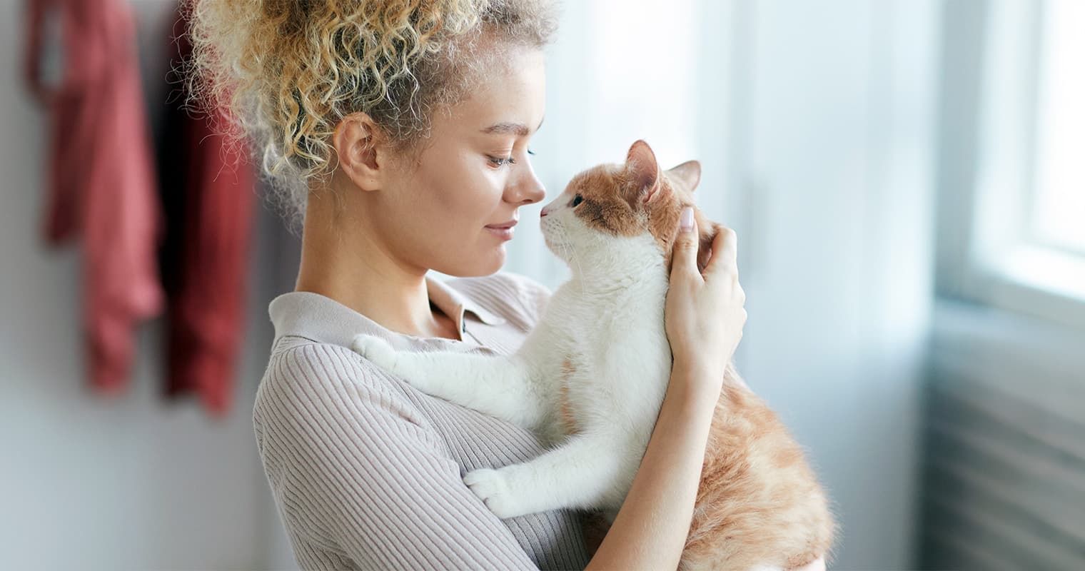 What Can I Give My Cat For Stress?