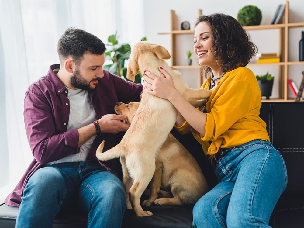 There Is More Than One “Right” Way to Socialize Your Puppy