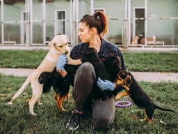 10 Ways Animal Shelters Are Upping Their Game