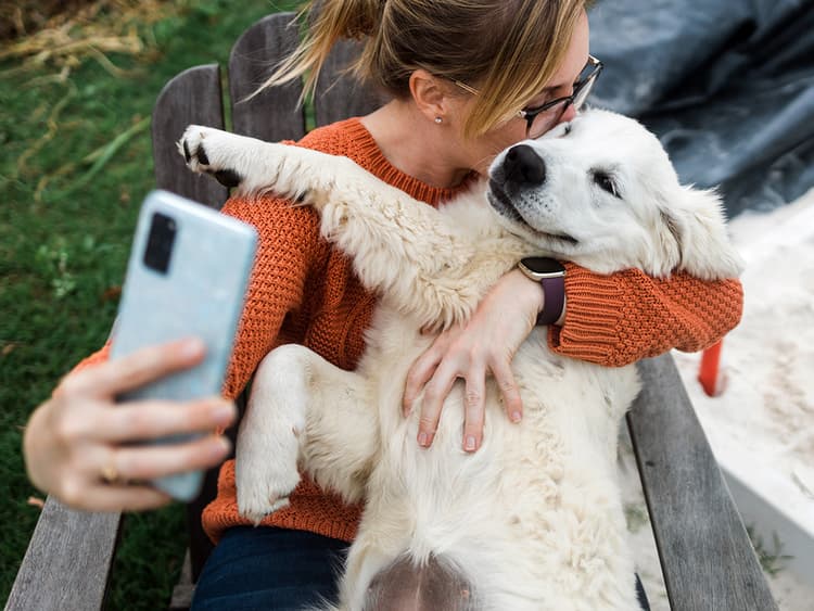 My Dog Is Perfect—But Should I Put His Picture in My Dating Profile?
