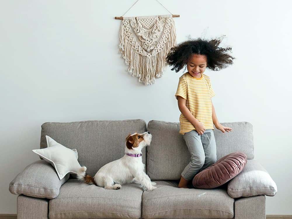 Signs a Dog Is Uncomfortable With a Child