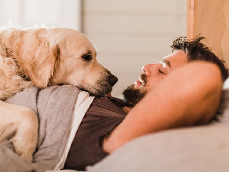 Dog Whimpering: Why a Dog’s Whimper Affects Us