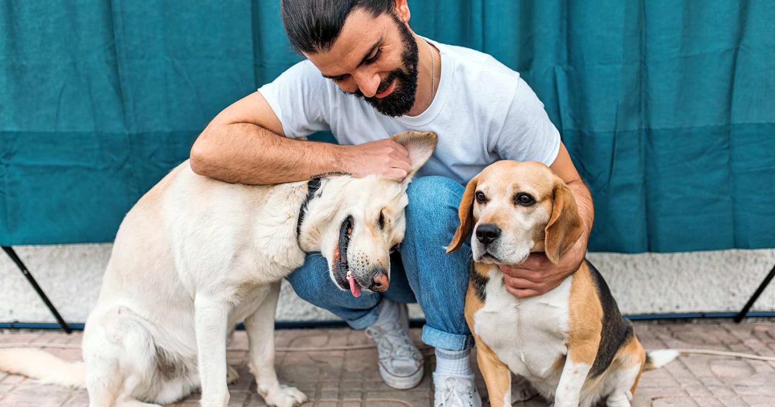 125+ Strong Dog Names and Tips for Choosing the Perfect Name