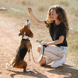 Your Dog’s Trauma Triggers Are Everywhere. Fear-Free Training Can Help