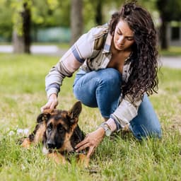 My Dog Is Pooping Blood: What Should I Do?