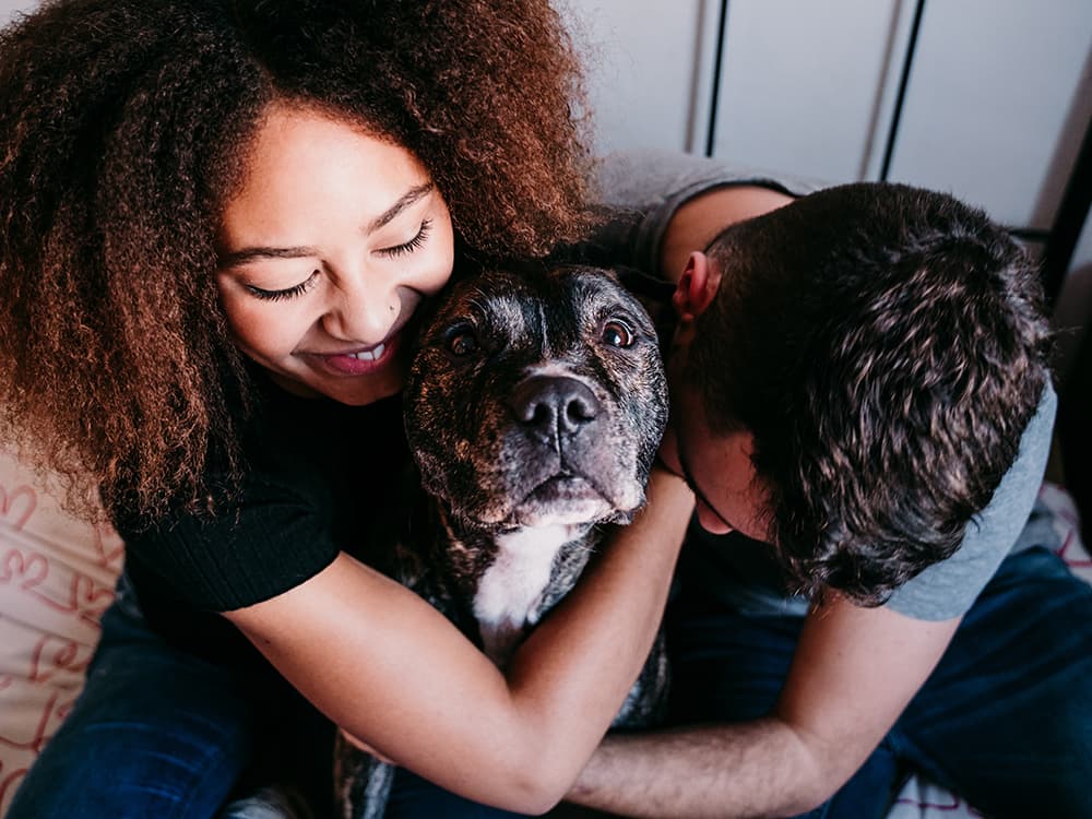 How to Improve Your Relationship with Your Dog