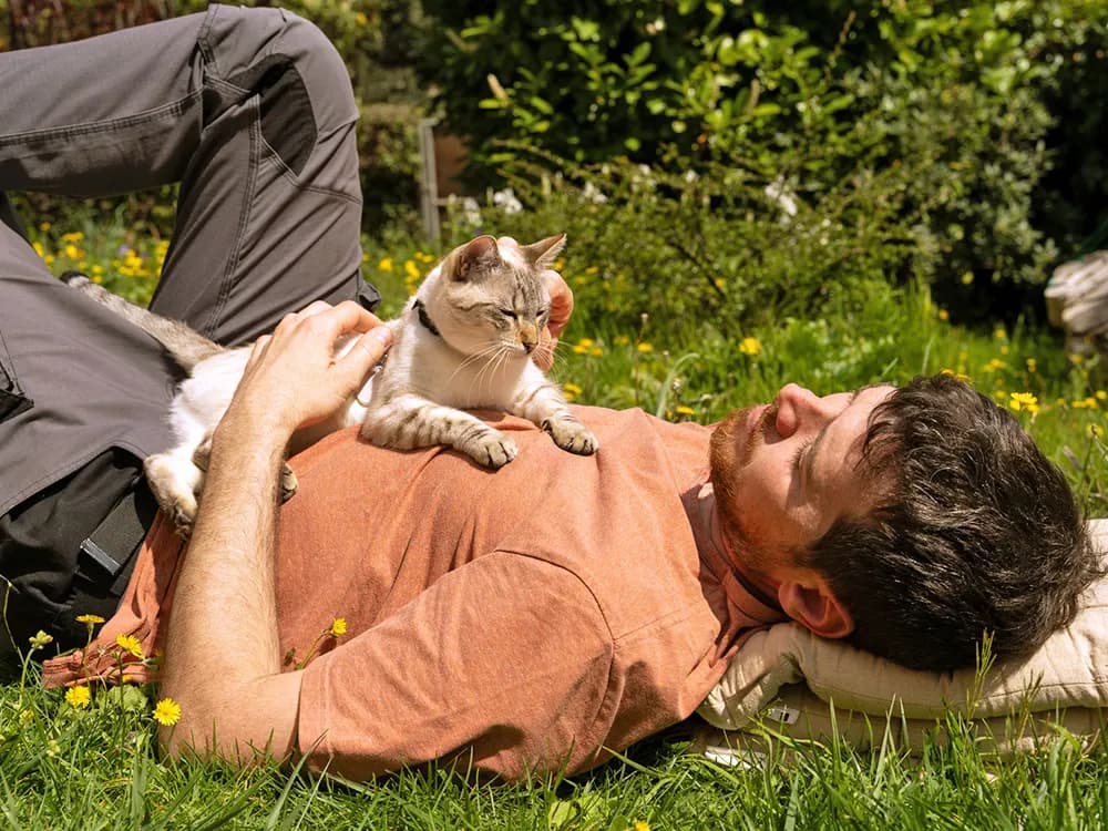 cat outside on top of a person