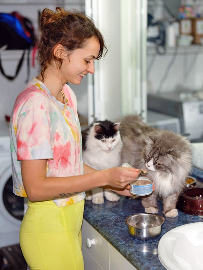 How to Switch Cat Food: Managing a Picky Eater