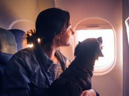 You Can’t Fly With Your Your ESA, But Your PSD Is Welcome on a Plane