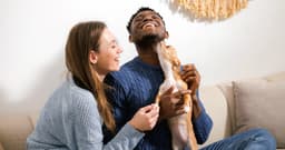 How to Pass a Pet Adoption Interview: What Shelters Look For