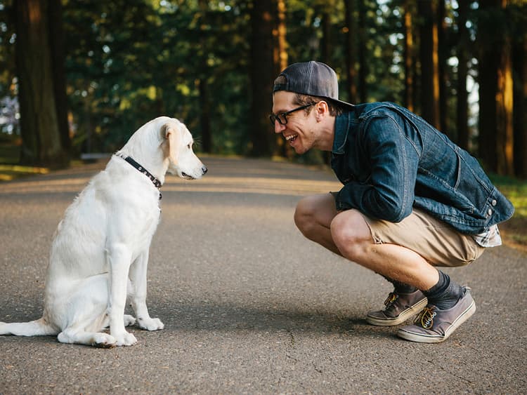 When, Exactly, Should You Vaccinate Your Puppy?