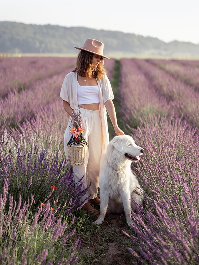 Dogs Have Favorite Scents, Study Says—And No, It’s Not Just the Smell of Food