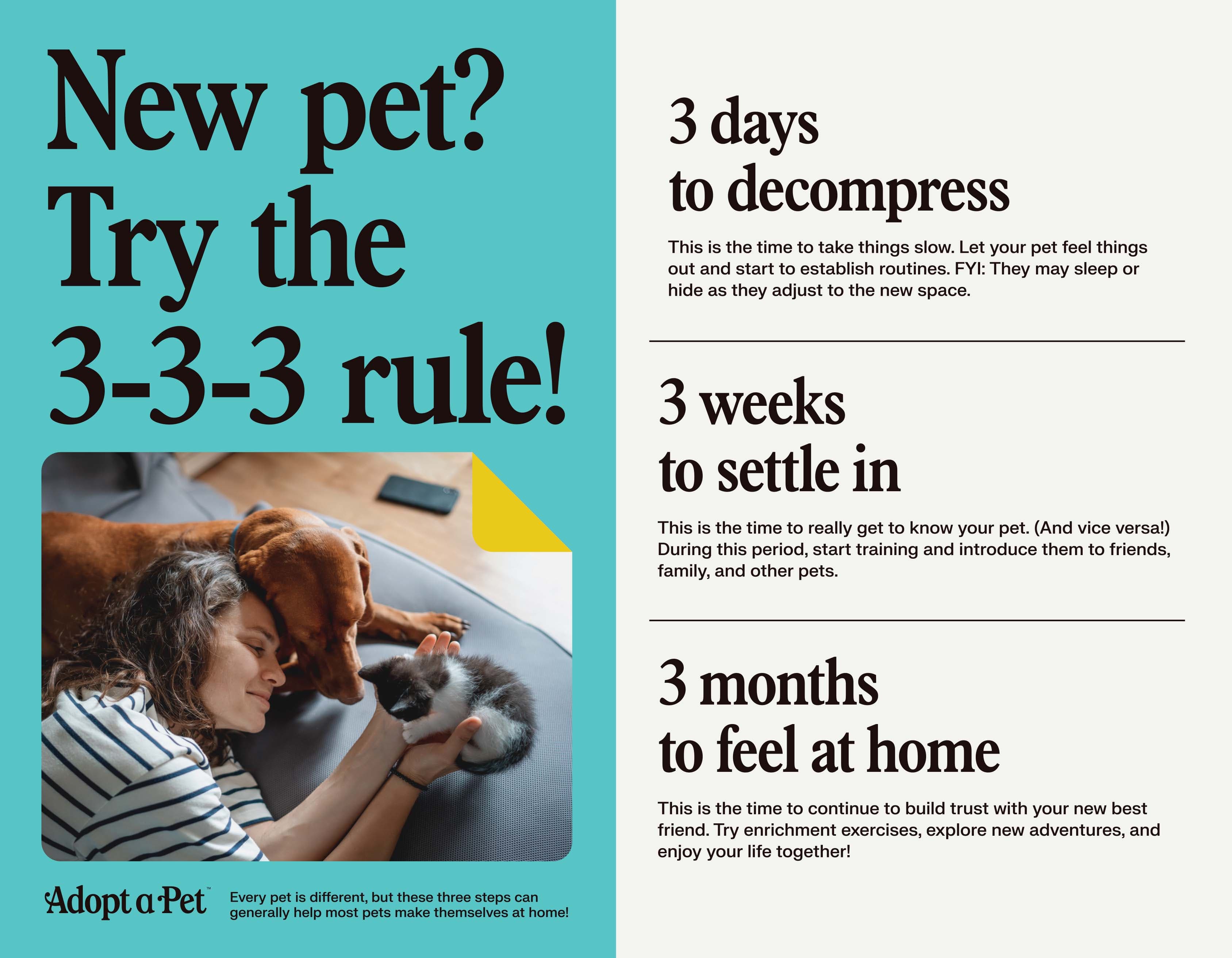 3-3-3 rule for new dog adjustment period