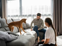 Are Laser Pointers Bad for Dogs?