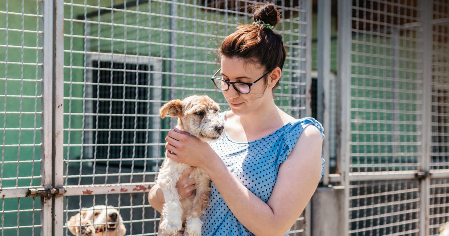 Do Shelters and Rescues Have Return Policies?