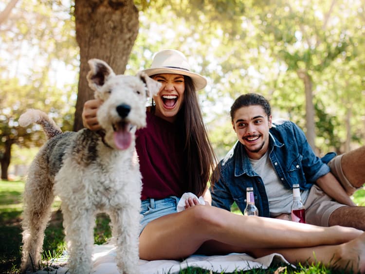 Spending Time With Dogs Can Make You Better in Social Situations, Study Says