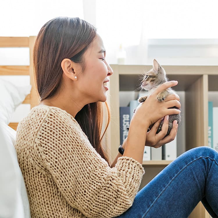 Kitten Vaccine Schedule Guide: Keep Your Kitten Healthy