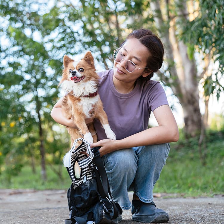 How Long Do Dogs Live?