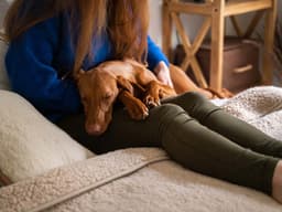 6 Reasons Your Dog Is Vomiting