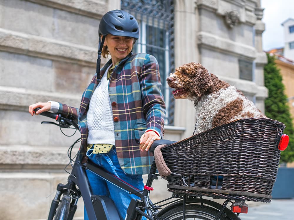 How to Take Your Dog on a Bike Ride
