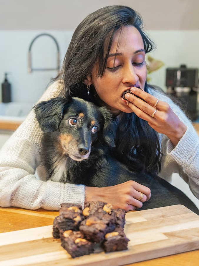 Top 10 Toxic Substances Pets Are Exposed to at Home, According to the ASPCA