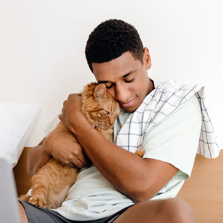 Can You Get Pet Insurance Before Surgery?