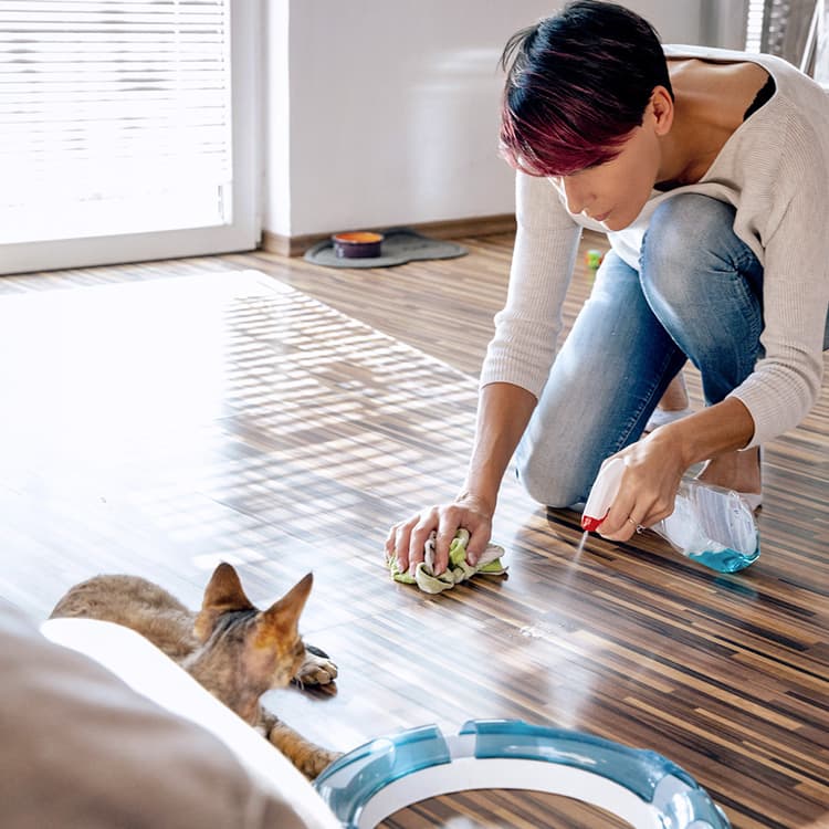 How to Get Rid of Cat Pee Smell