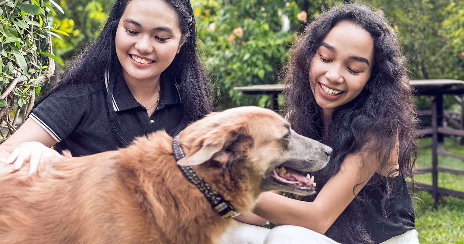 Your Pet Fostering Questions — Answered