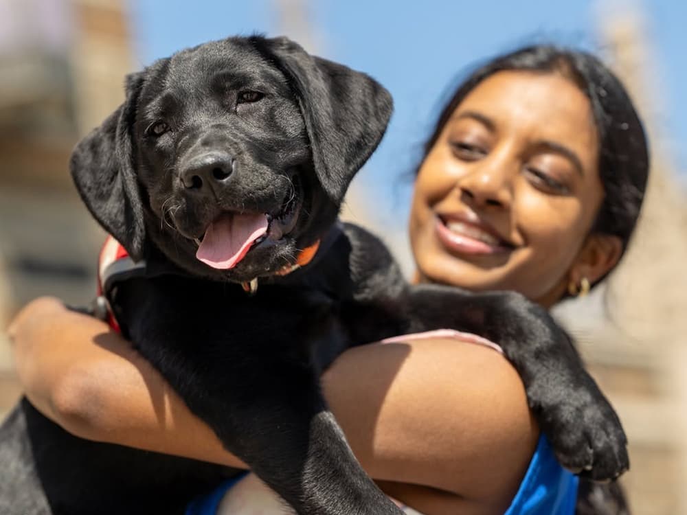 girl holding black lab puppy