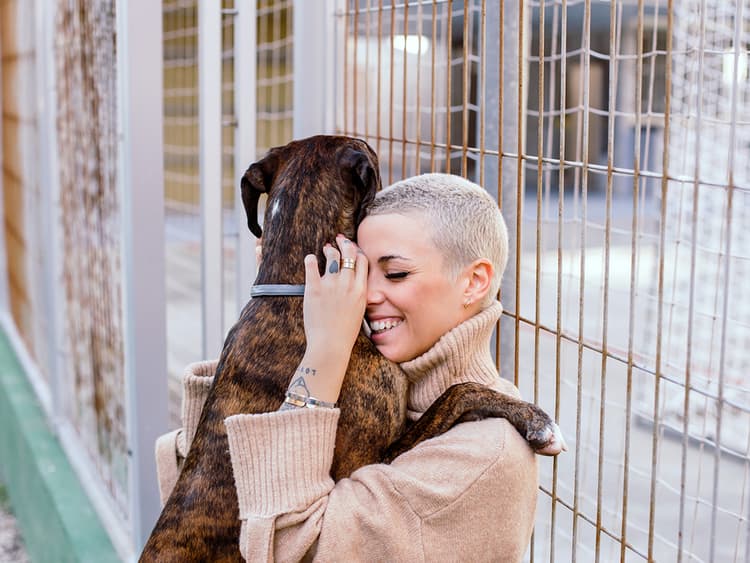 Lost Pets: How to Get Them Back