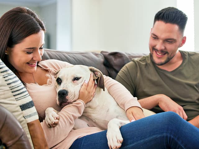 How Different Dog Breeds Show That They Love You