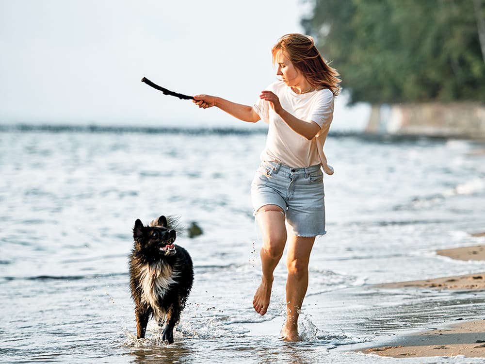 9 Warm Weather Hazards for Dogs—And How to Keep Your Pup Safe All Summer