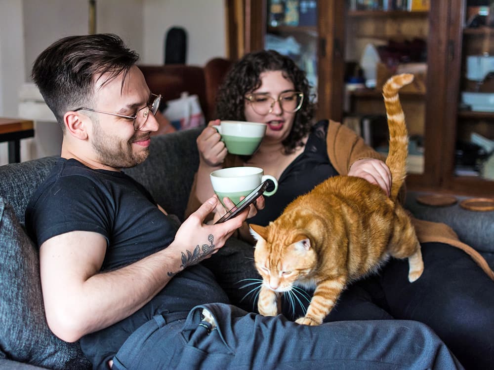 7 Signs Your Cat Is an Extrovert