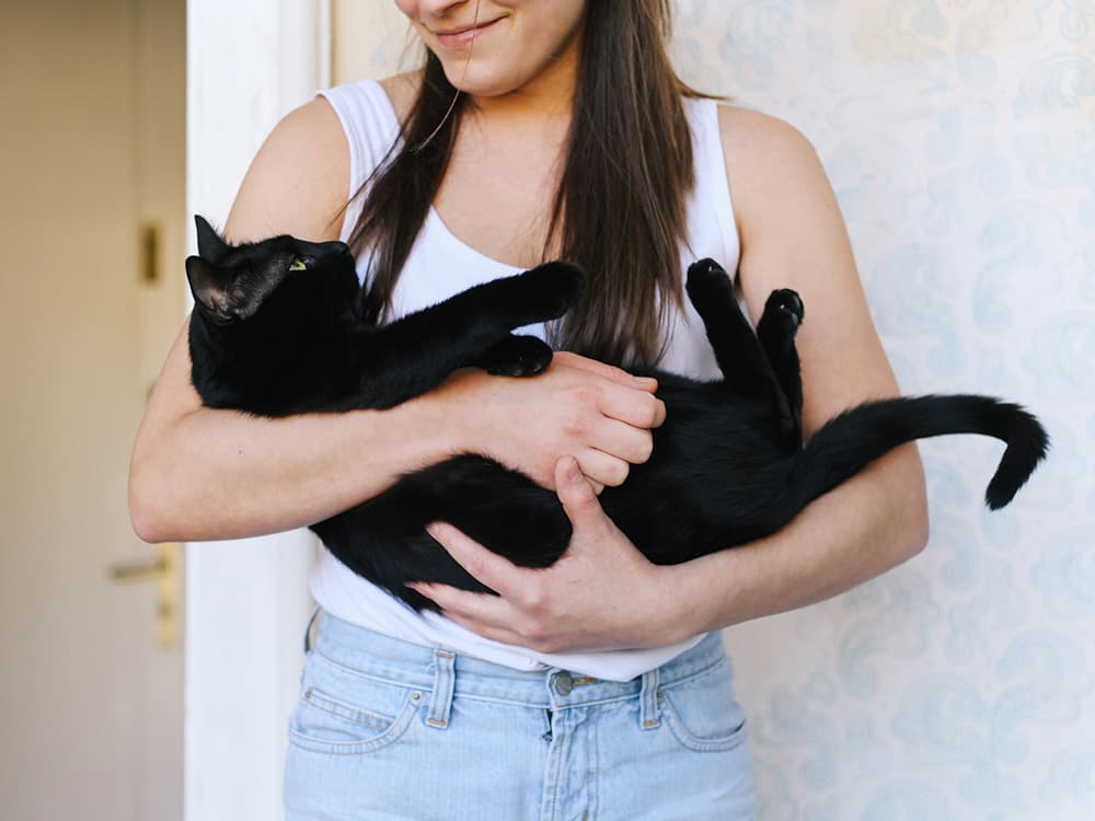 When and How to Express Your Cat’s Anal Glands