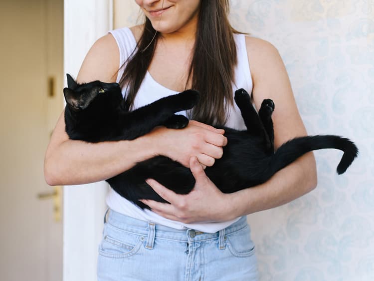 When and How to Express Your Cat’s Anal Glands