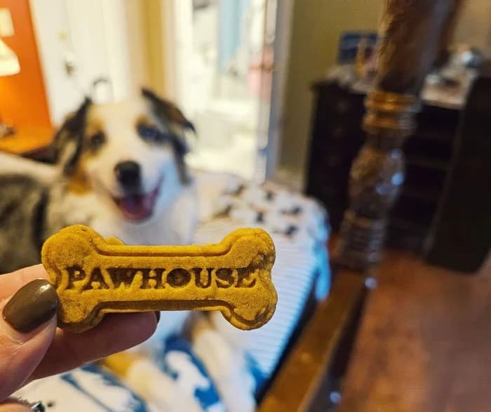paw house inn biscuit with dog in background