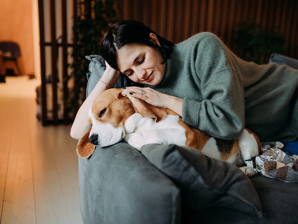 Why Does My Dog Freak Out When I Wake Them Up?