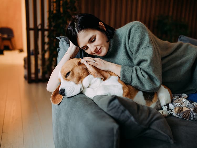 Why Does My Dog Freak Out When I Wake Them Up?