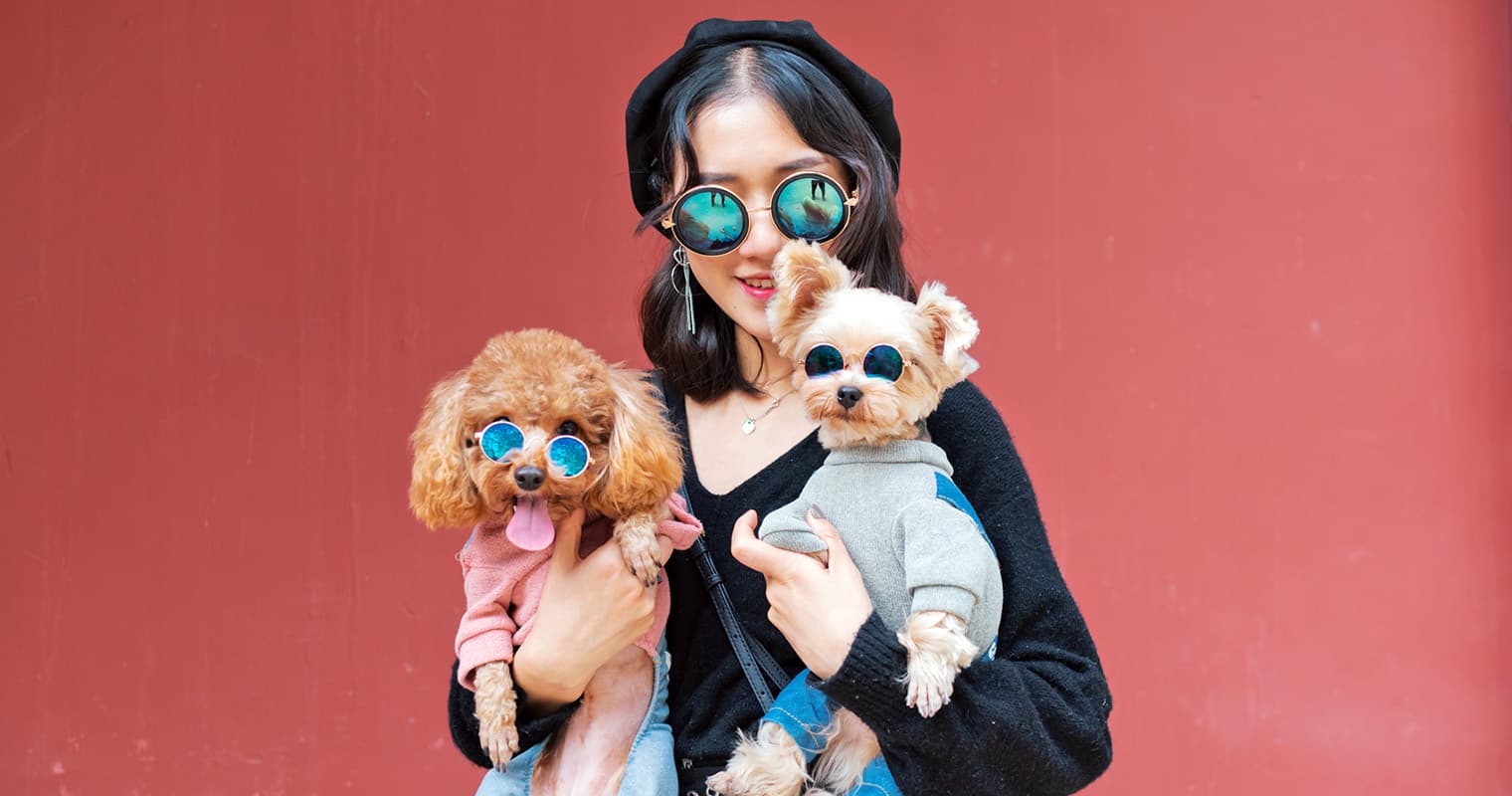 100+ Cool Names for Your Dog