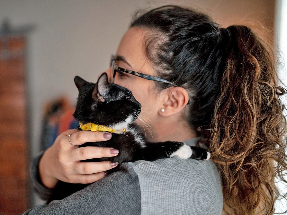 Why Do Cats Like Earwax?