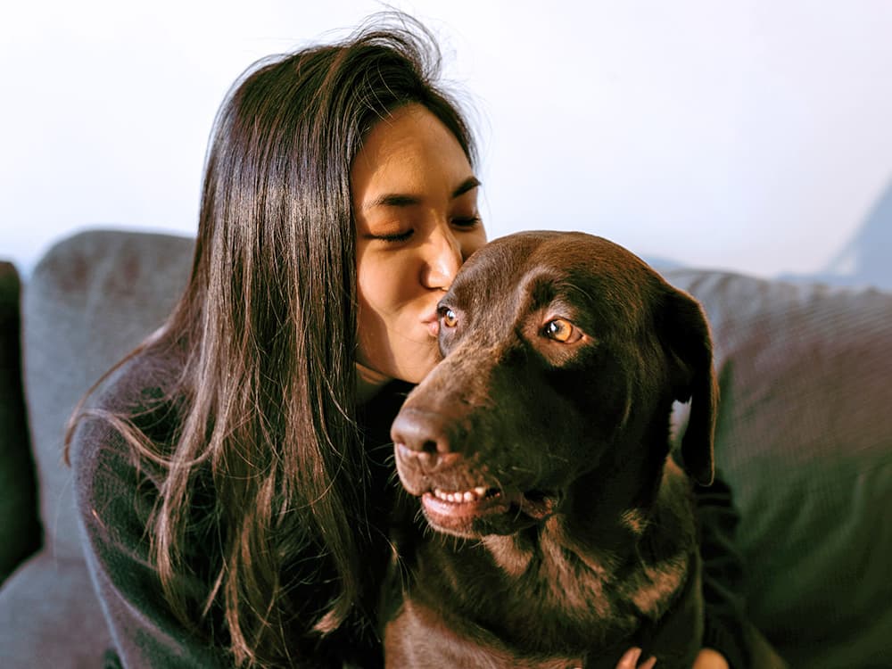 Labrador