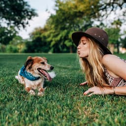 How to Avoid a Dog Bite to the Face
