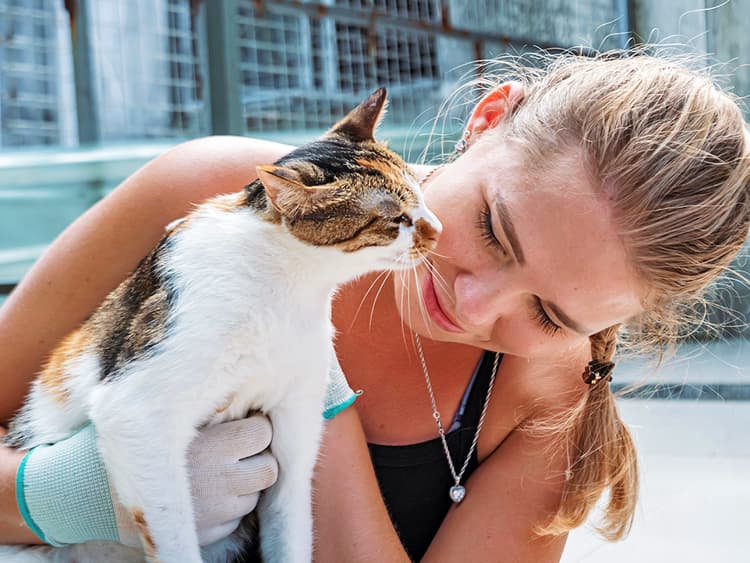 How to Adopt the Perfect Shelter Cat for Your Personality