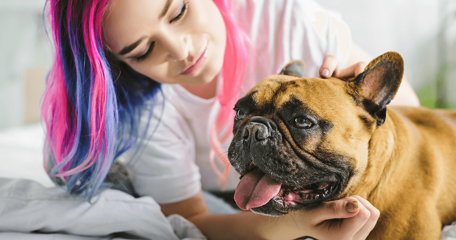 The Most Common Health Concerns for French Bulldogs—And How to Spot Them